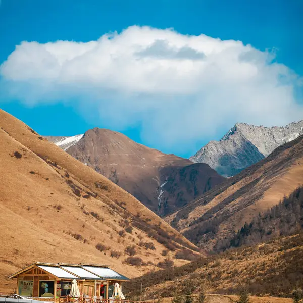 鷓鴣山