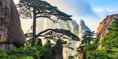 安徽黃山黃山風景區一日遊【純玩包車+上門接送+車型自選】