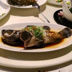 Phoenix Tree Creative Chinese Cuisine User Photo