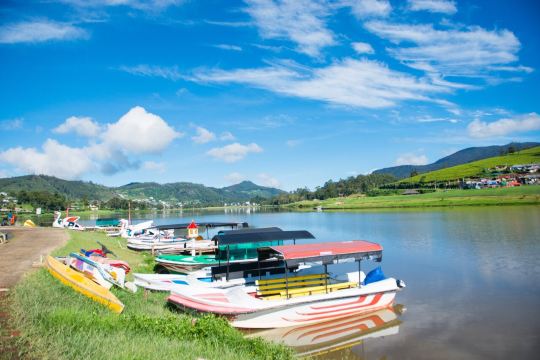 Distretto di Nuwara Eliya