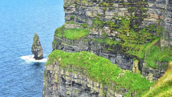 愛爾蘭都柏林莫赫懸崖一日遊