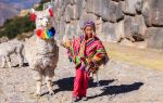 Inca City of Machu Picchu