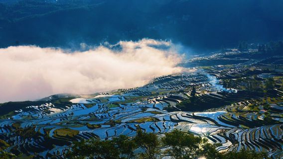 Sea of Clouds Sightseeing in Yuanyang