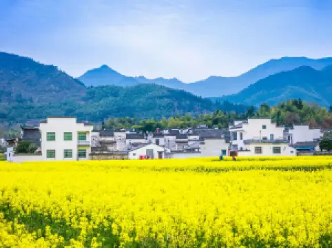 Top 20 Spring Outings in Yi County