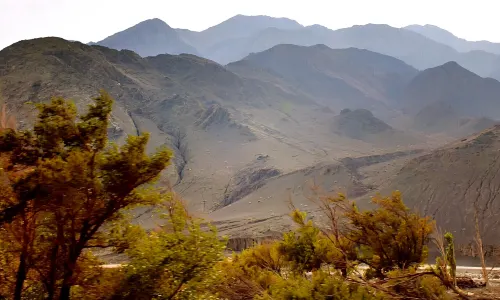 Grape Valley