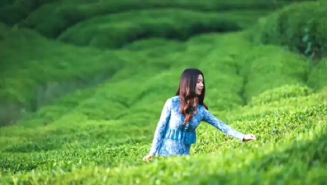 德清莫干山風景名勝區一日遊【【15人小團】慢節奏/慢生活】