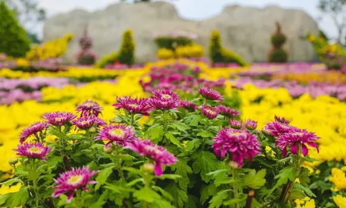 Nantong Intercontinental Green Expo