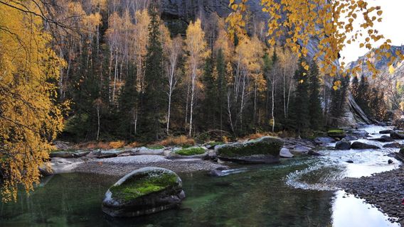 Dadonggou Scenic Area