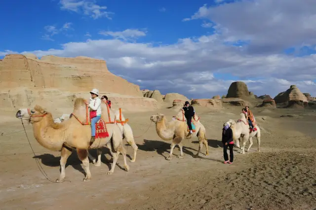 Camel Riding in Karamay