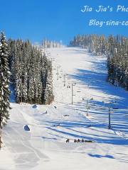 Sun Peaks