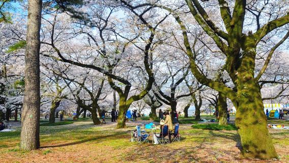 Koganei Park