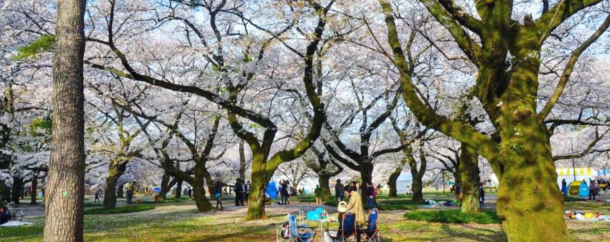 Koganei Park