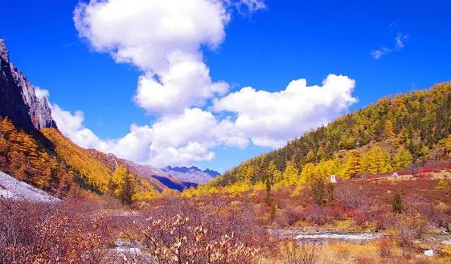 Fall Foliage Sightseeing in Luding