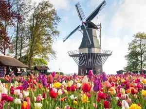 คูเคนฮอฟ