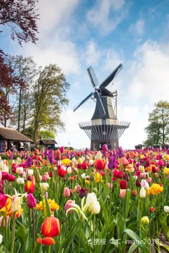 Taman Bunga Keukenhof