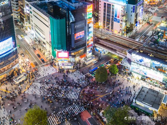 Shibuya City