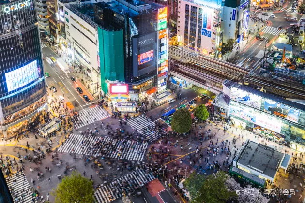 瀬上駅周辺のホテル