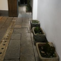 Wenru No.9 User Photo