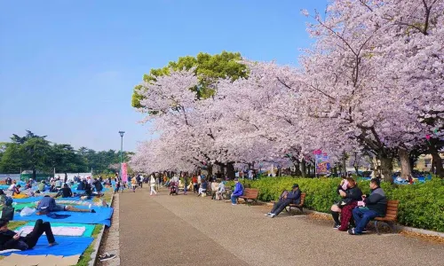 Tsuruma Park