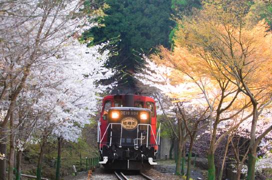 日本京都貴船神社+三千院+嵐山嵯峨野觀光小火車一日遊