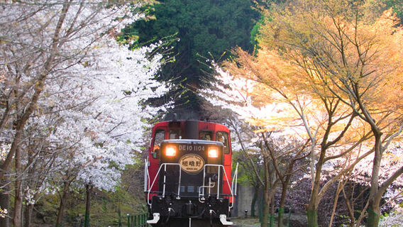 京都日遊