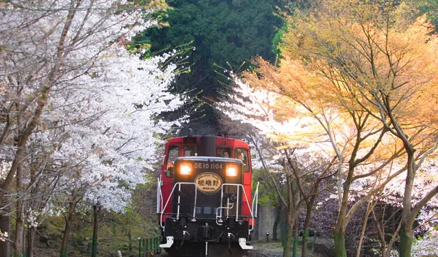 4_嵐山嵯峨野觀光小火車