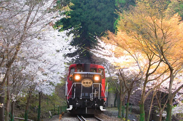 4_รถไฟสายโรแมนติกซากาโนะ