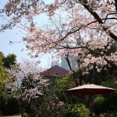 香然会 User Photo