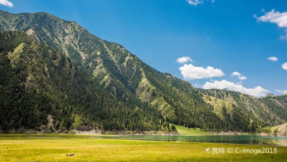 Alpine Meadow