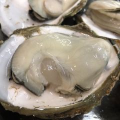 HDX-OYSTER User Photo