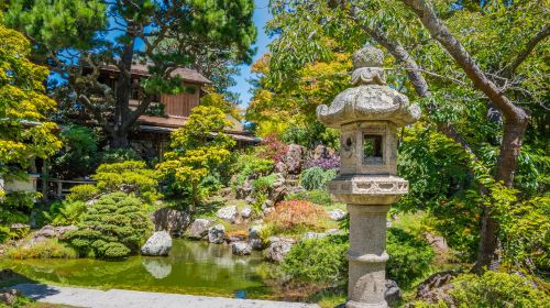 Golden Gate Park