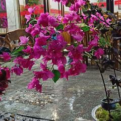 灶香土菜(神仙居店) ảnh của người dùng