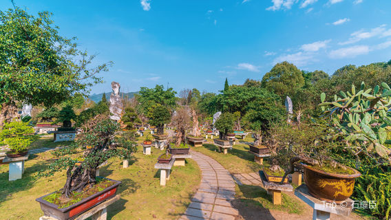 Huangguoshu Potted Landscape Garden