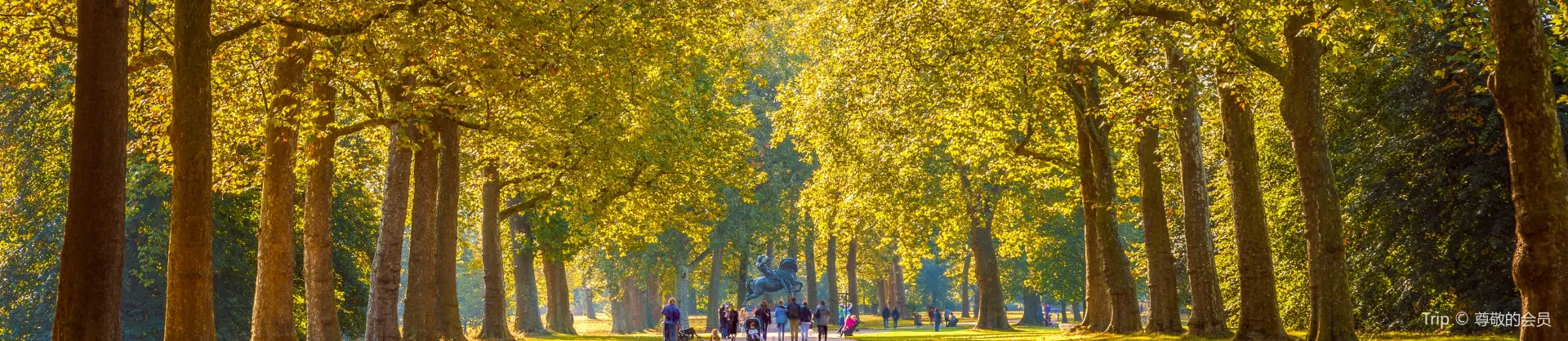 Fall Viewing Attractions