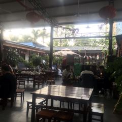 传统弥勒菜 User Photo