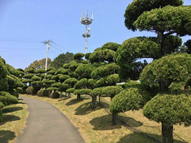 のこのしまアイランドパーク
