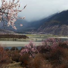 波羅蜜多飯店·如飴軒張用戶圖片