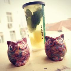 Starbucks Wakayama Palm City User Photo
