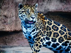 Changsha Ecological Zoo