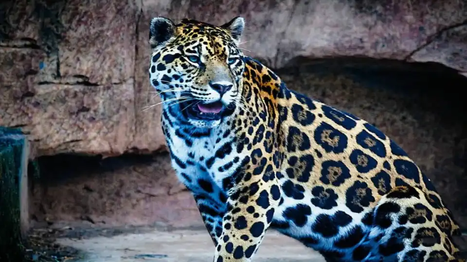 3_Changsha Ecological Zoo