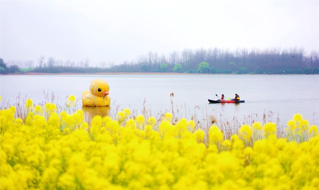 황완첨산촌