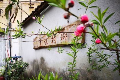 乡村味道(环城西路店)