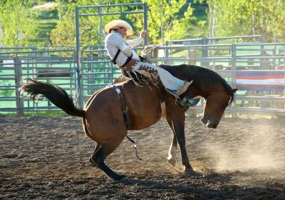 Moses Lake Roundup