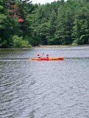 Pine Point County Park