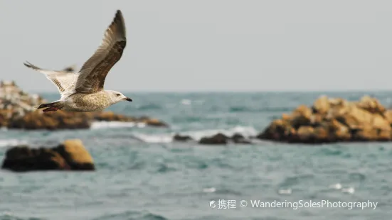 田村海水浴場