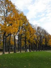 Cinquantenaire Park