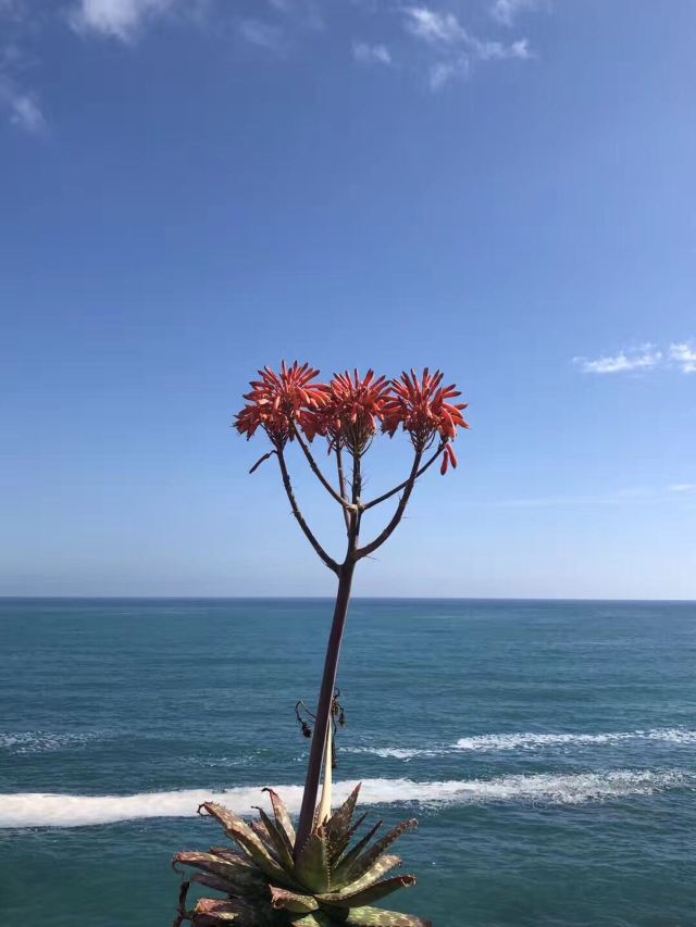 Banje Beach