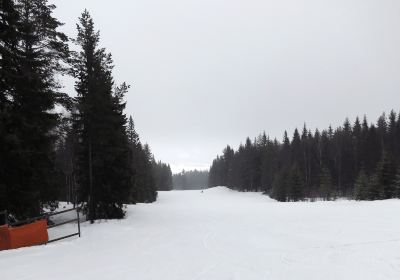 Titus Mountain Family Ski Center