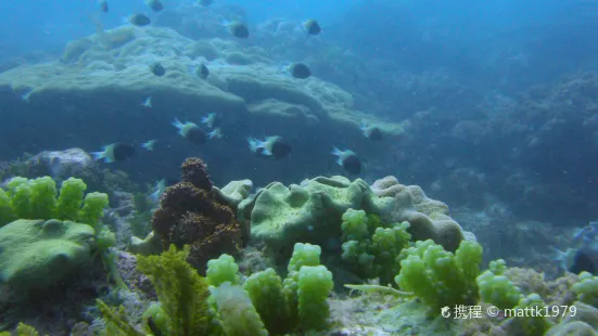 One Ocean: The Zanzibar Dive Center