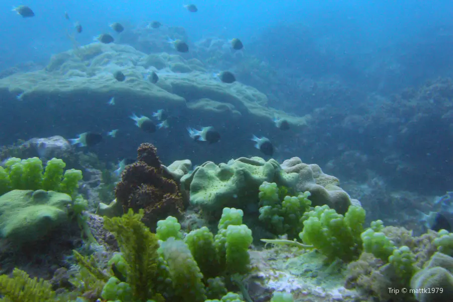 One Ocean Dive Centre - Kiwengwa